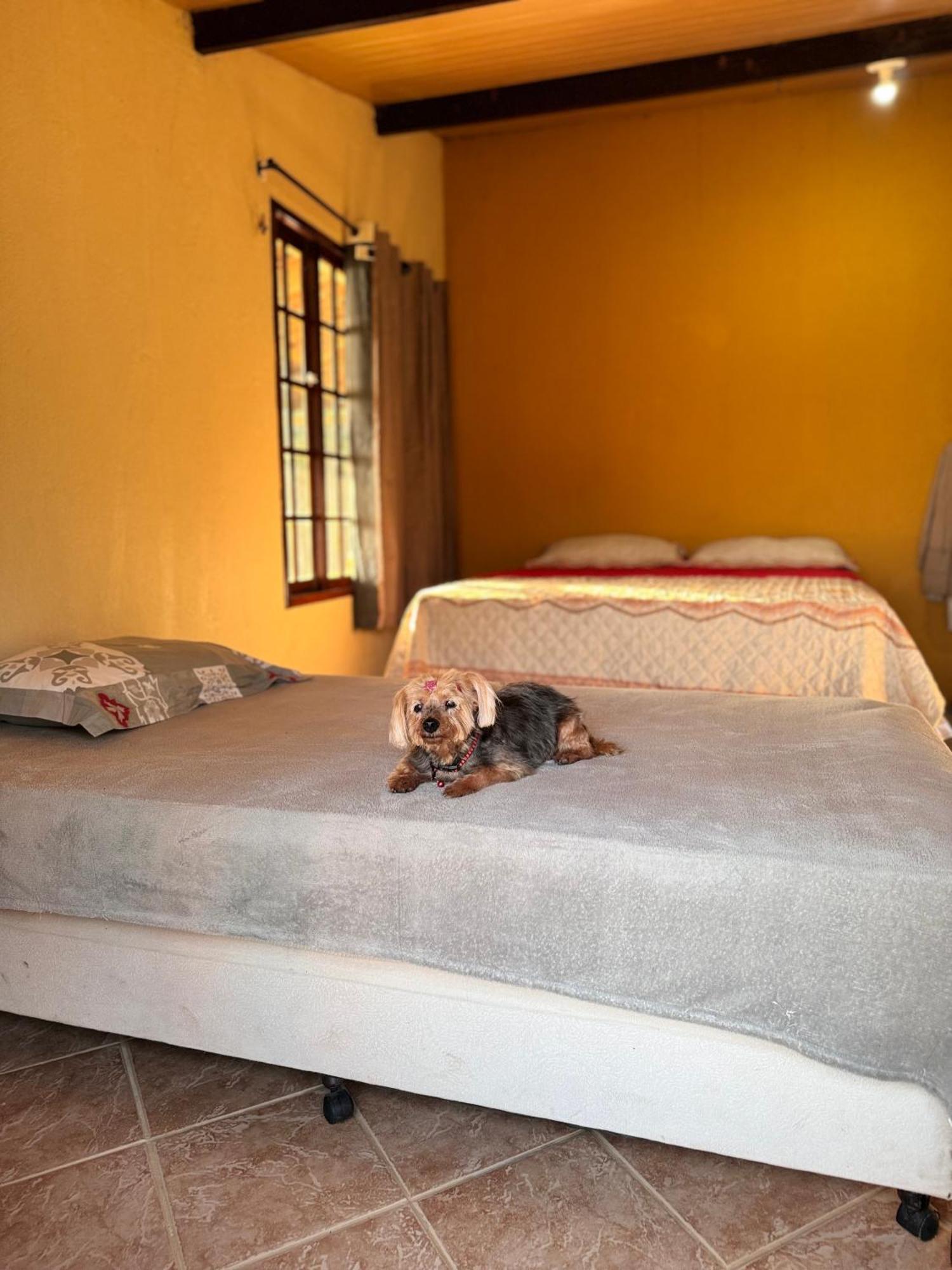 Chale Bella Vista Villa Guaramiranga Exterior photo
